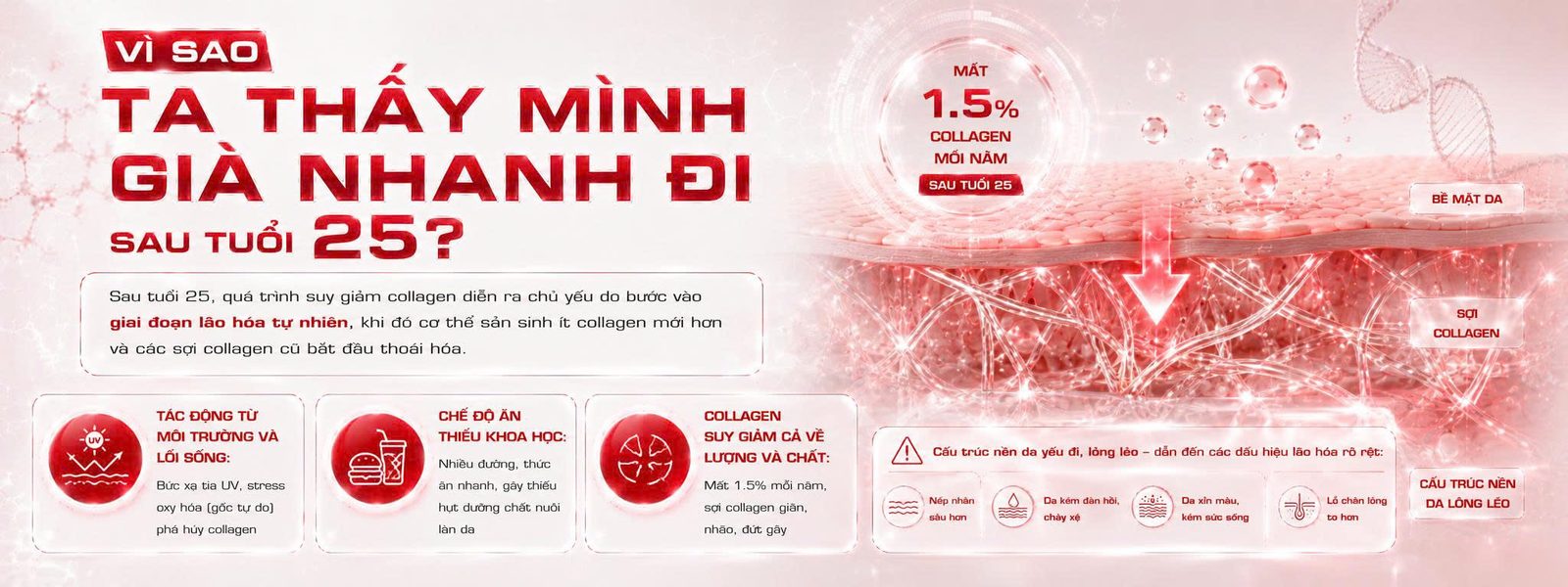 COLLAGEN SKIN - Skin Plus Dermatology