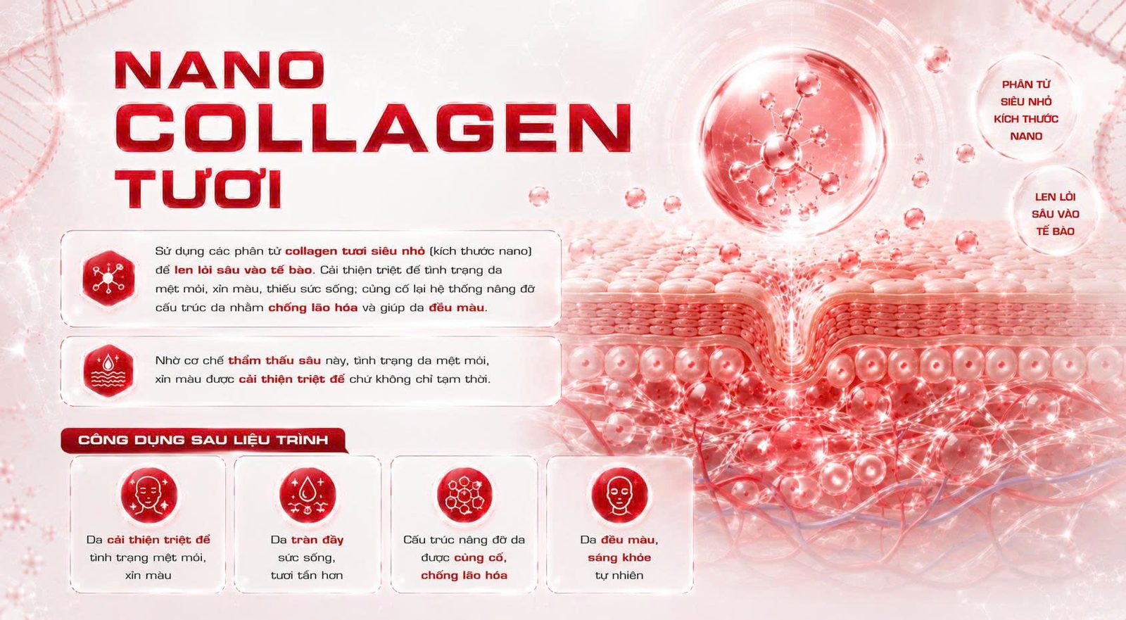 NANO COLLAGEN TƯƠI - Skin Plus Dermatology