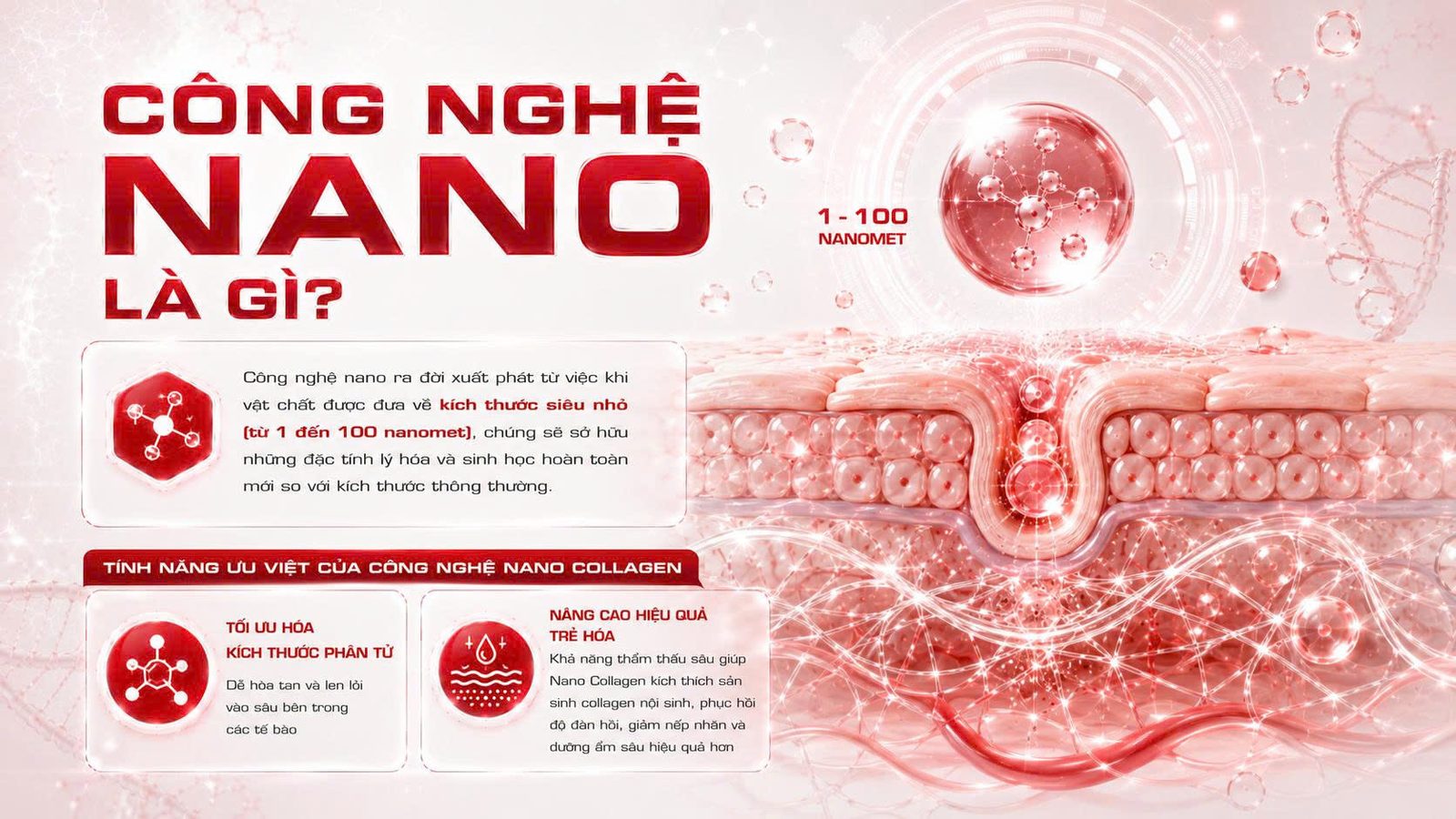NANO COLLAGEN TƯƠI - Skin Plus Dermatology