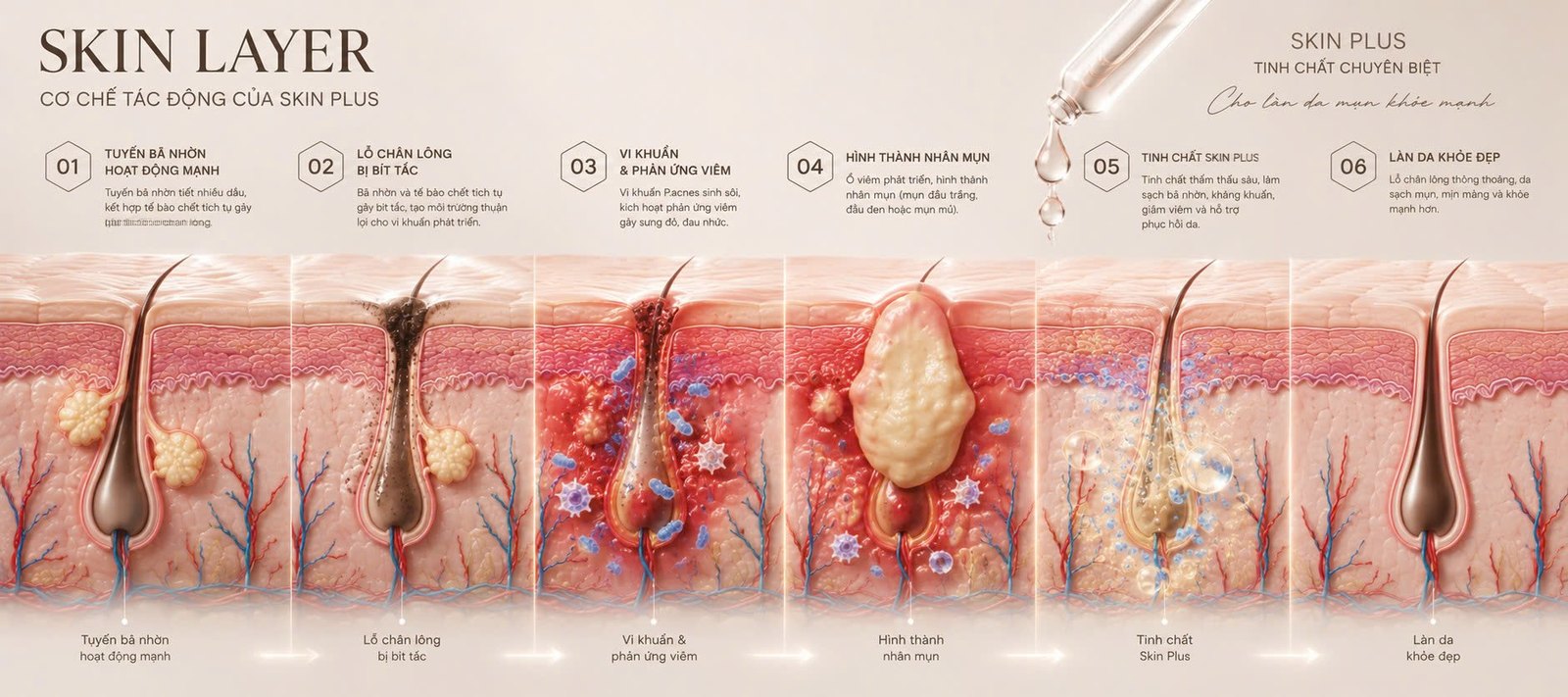 Skin Layer – cơ chế tác động của Skin Plus lên từng lớp da